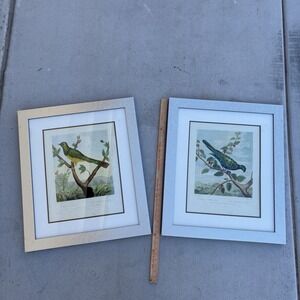 Vintage Bird Art Bird Prints. Set Of 2. Framed